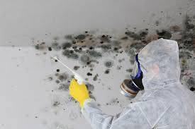 Best Residential Mold Inspection & Testing  in Wanaque, NJ